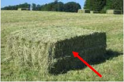 Hier ein Heu-Quaderballen zum Messen mit dem Viehfutter-Feuchtemesser