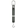 Hanging Scales with Newton Divis
