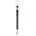 Spring Balance 100g