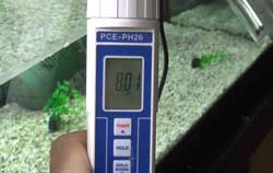 pH-mètre d'aquarium en cours d'utilisation.