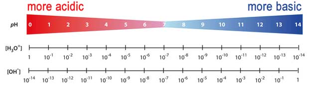 pH Metre pH skalası
