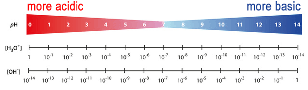 Range del pH con le concentrazioni