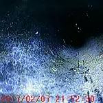 Immagine catturata dal videoendoscopio