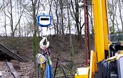 Crane Scales application