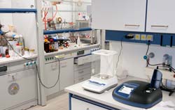 Laboratory balance in use at research laboratory medicines.