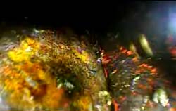 Picture taken with snake camera PCE-VE 380N