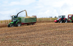 The Agricultural measuring device
 PCE-228S in use in agriculture.