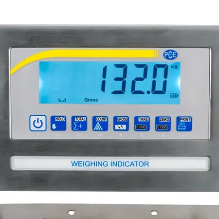 Platform Scales Display