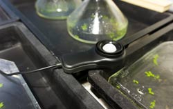 Sensor de um luxímetro para determinar a iluminação em um laboratório de plantas.