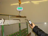 Grua de carga para pesaje de altura