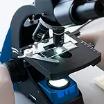 Microscopio con platina en cruz 