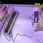 pH-metro para suelo realizando una comprobación