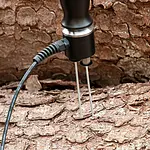 Medidor de humedad en paredes - Imagen de uso en un arból