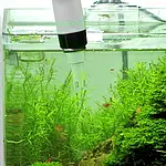 Medidor de pH - Imagen de uso en un acuario