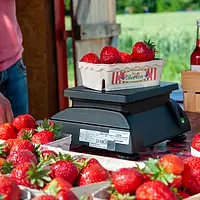 Fin skala -applikation