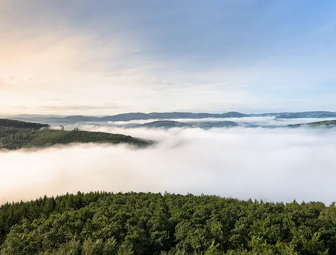 Sauerland