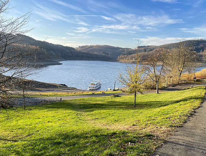 Hennesee