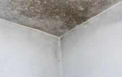 Taupunktmessgerät bei der unkontrollierten Feuchteeintragmessung an Schimmel.