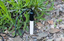 Boden pH-Meter in Anwendung mittels einer Sonde.
