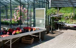 Feuchtemessgerät PCE SMM 1 in der Gärtnerei.