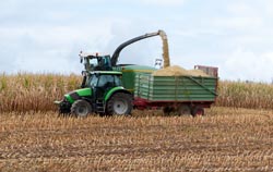 Getreidefeuchtemesser in der Anwendung bei der Ernte.