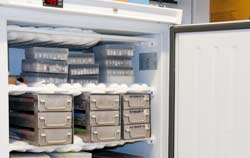 Kühlschrank Datenlogger bei der Anwendung im Labor.