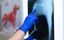 Lichtmessgerät zum prüfen der Leuchtdichte eines Negatoskops für Röntgenbilder vom Röntgengerät