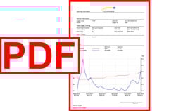 Report in PDF
