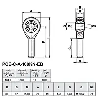 Zeichnung der Ringschrauben PCE-C-A-100KN-EB