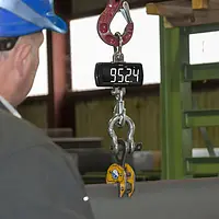 Kranwaage Anwendungsbild