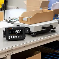 Waage mit Software Anwendung