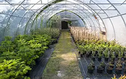 Vochtigheidsmeter in gebruik in een kas.