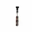 Borstel sonde