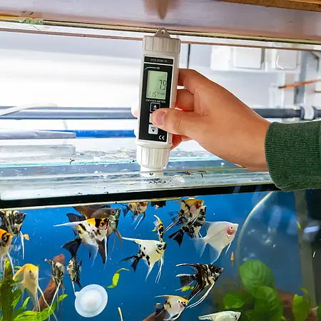 wateranalyse meter in gebruik