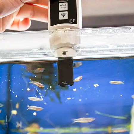 Dissolved Oxygen Meter Application picture