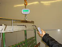 Hanging Scales PCE-CS 300-ICA application