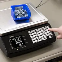 Counting Scales Application picture