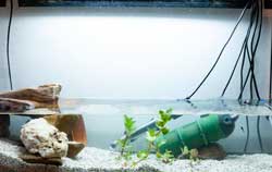 Medidor de pH del acuario en uso.