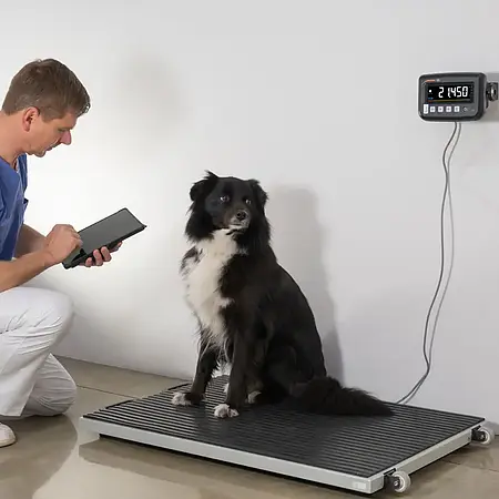 Balanza para animales verificada - Uso