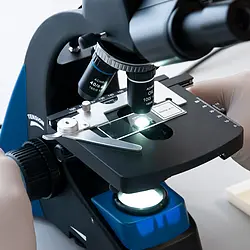 Microscopio con platina en cruz 