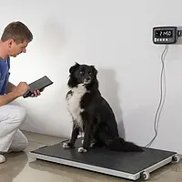 Balanza para animales verificada - Uso
