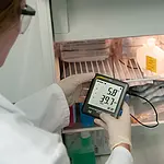 Medidor de temperatura - Imagen de una medición 