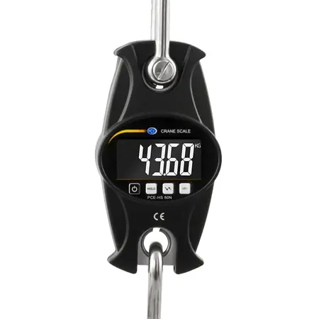 Crane Scales Frontal