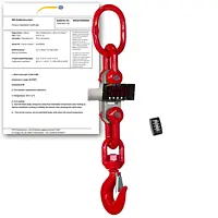 Crane Scales