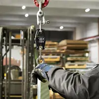Crane Scales Application picture