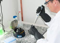 Description des produits