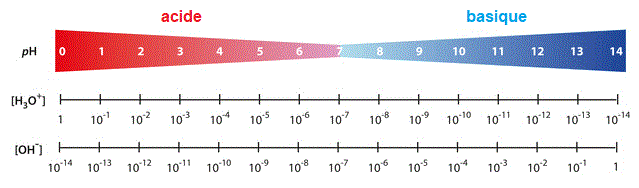 Échelle de valeurs de pH avec concentrations