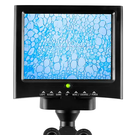 Microscope de laboratoire | Affichage