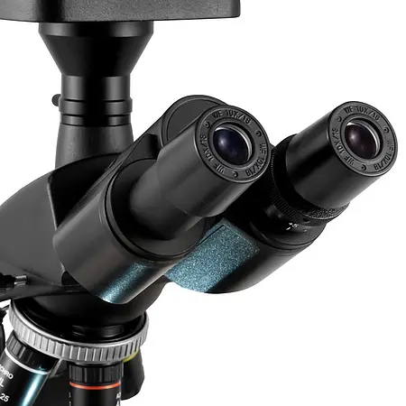 Microscope de laboratoire | Lentilles