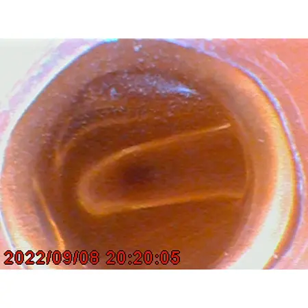 Vidéoscope / Vidéoendoscope Image d'utilisation